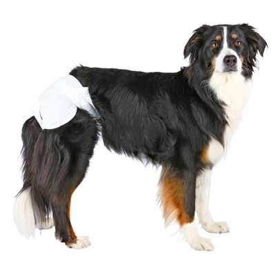 Pannolini Assorbenti Cani Inodorina - XXL 12 Pezzi