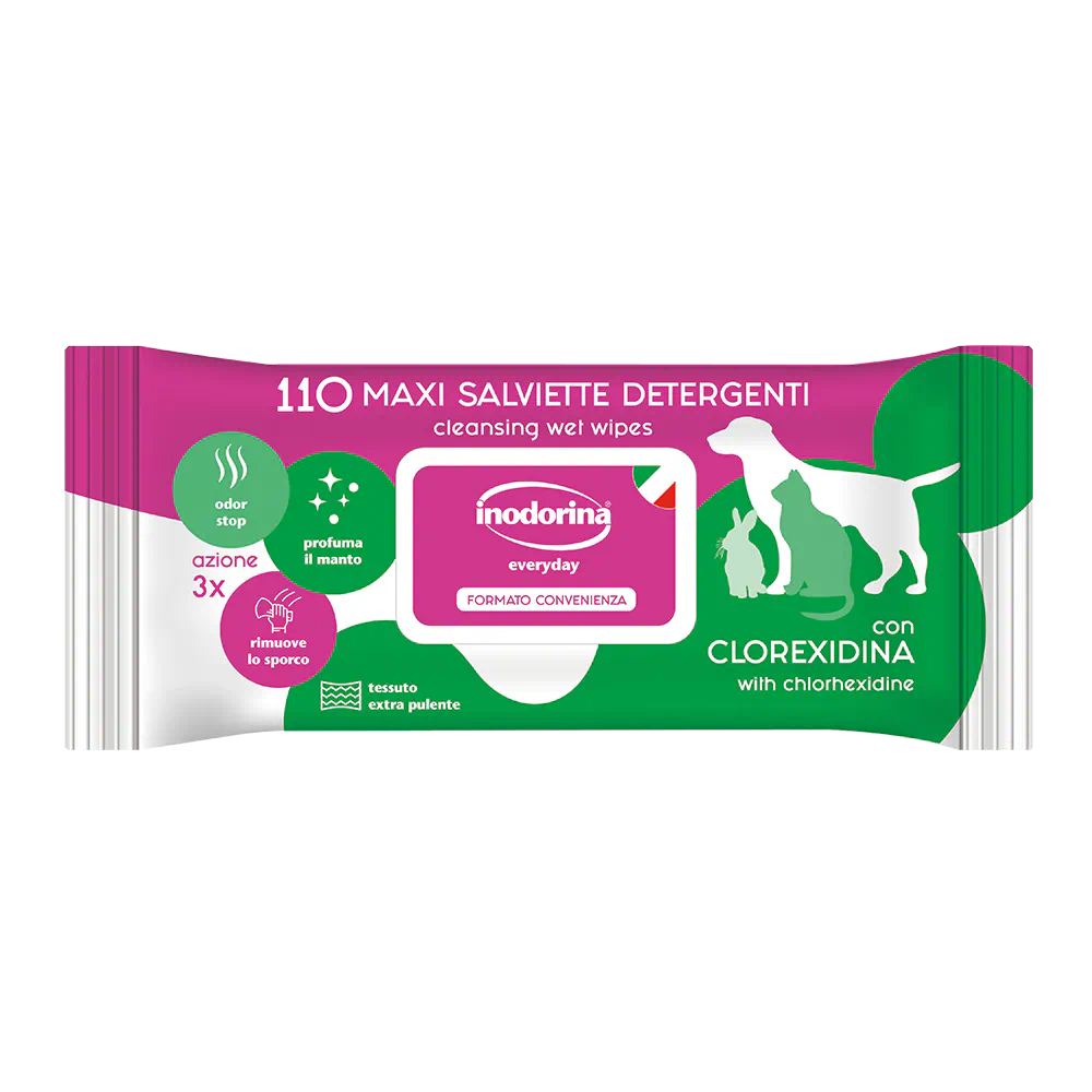 Salviette Detergenti Profumate Everyday alla Clorexidina - 110 Pz