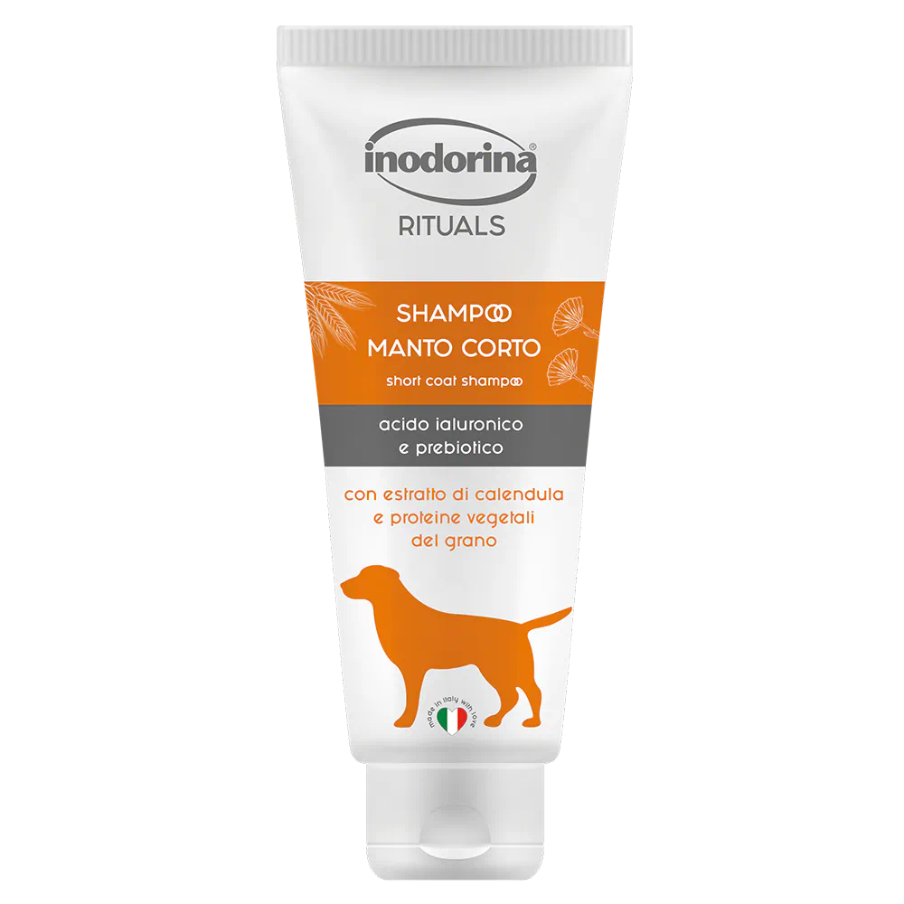 Shampoo Rituals Manto Corto con Estratto di Calendula e Proteine del Grano 250 ml