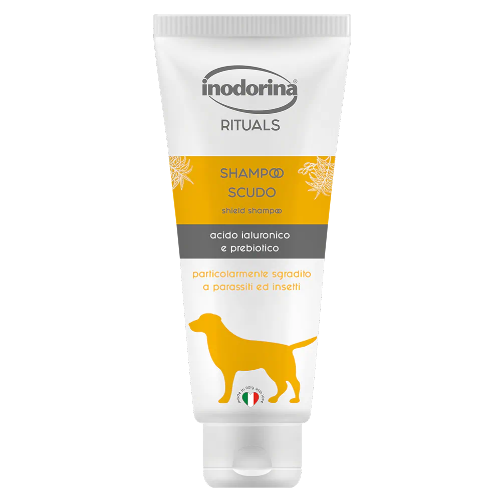 Shampoo Rituals Scudo con Olio di Neem 250 ml