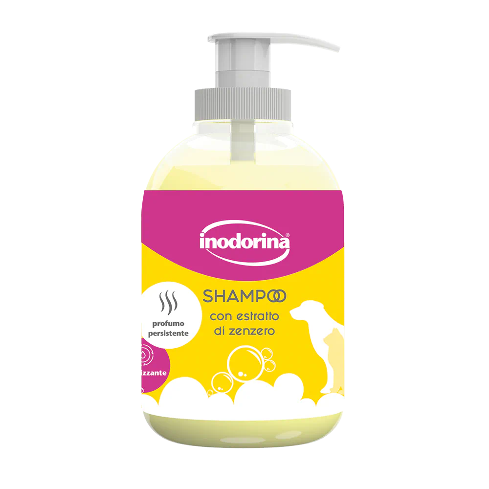 Shampoo Rivitalizzante con Estratto di Zenzero 300 ml