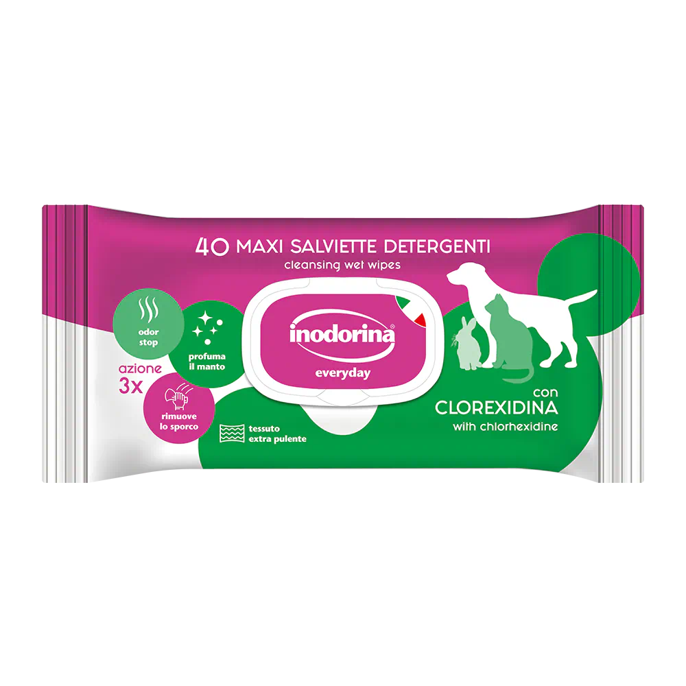 Salviette Detergenti Profumate Everyday alla Clorexidina - 40 Pz
