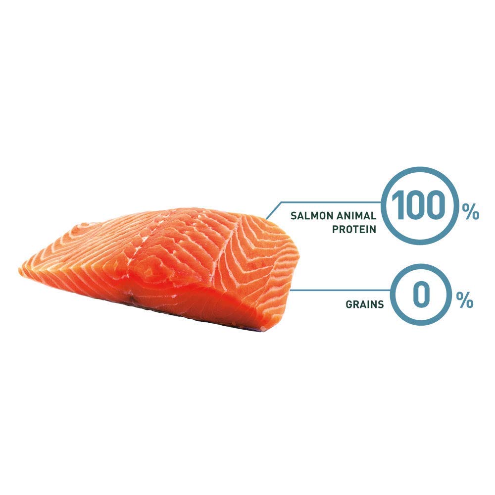 Bravery Gatto Kitten Salmone 2 Kg