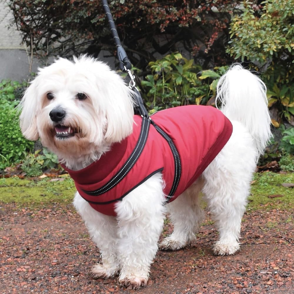 Cappotto con Imbracatura Incorporata Croci Tg 25 XS