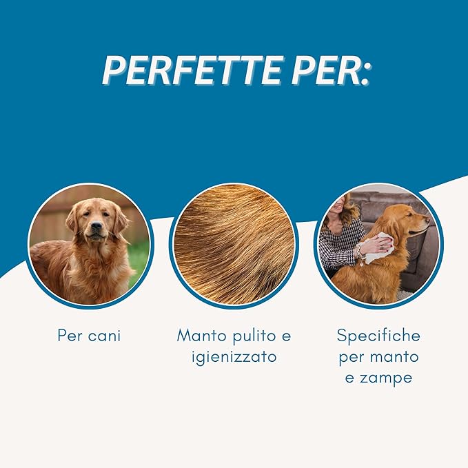 Salviette Detergenti Profumate Muschio Bianco - 40 Pz