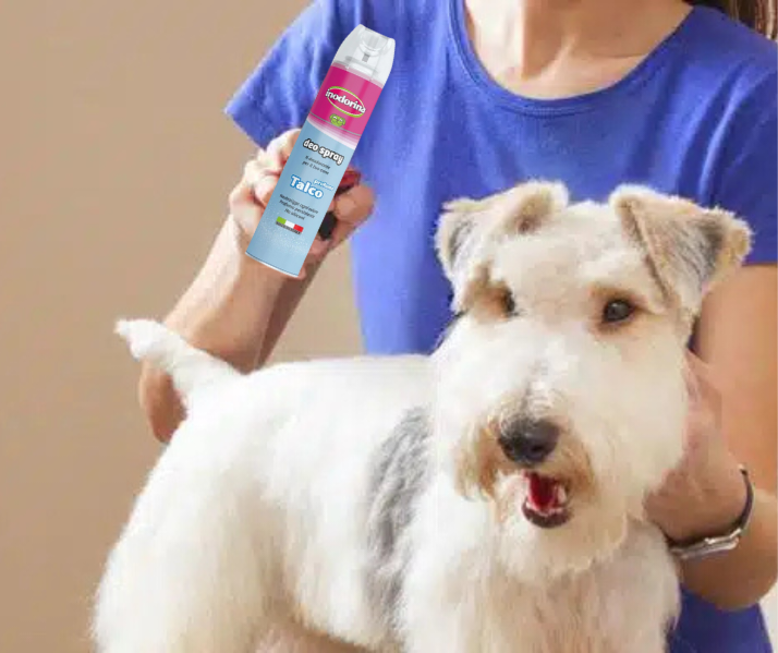 Inodorina Deo Spray Talco 300 ml