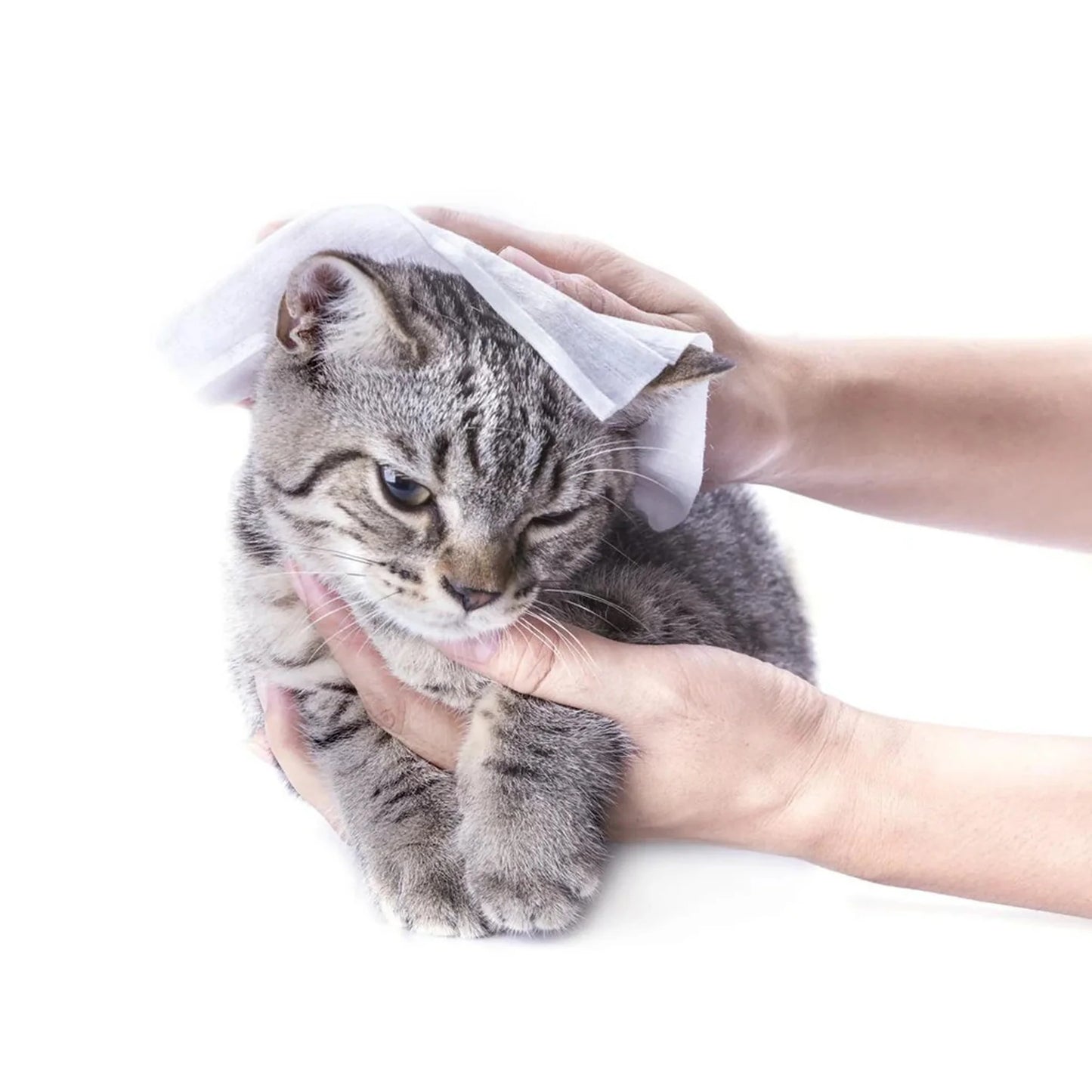 Salviette Detergenti Functional Gatto - 40 Pz