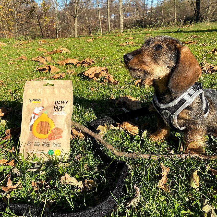 Happy Farm Salmone/zucca per cani Snack Croci 80 gr