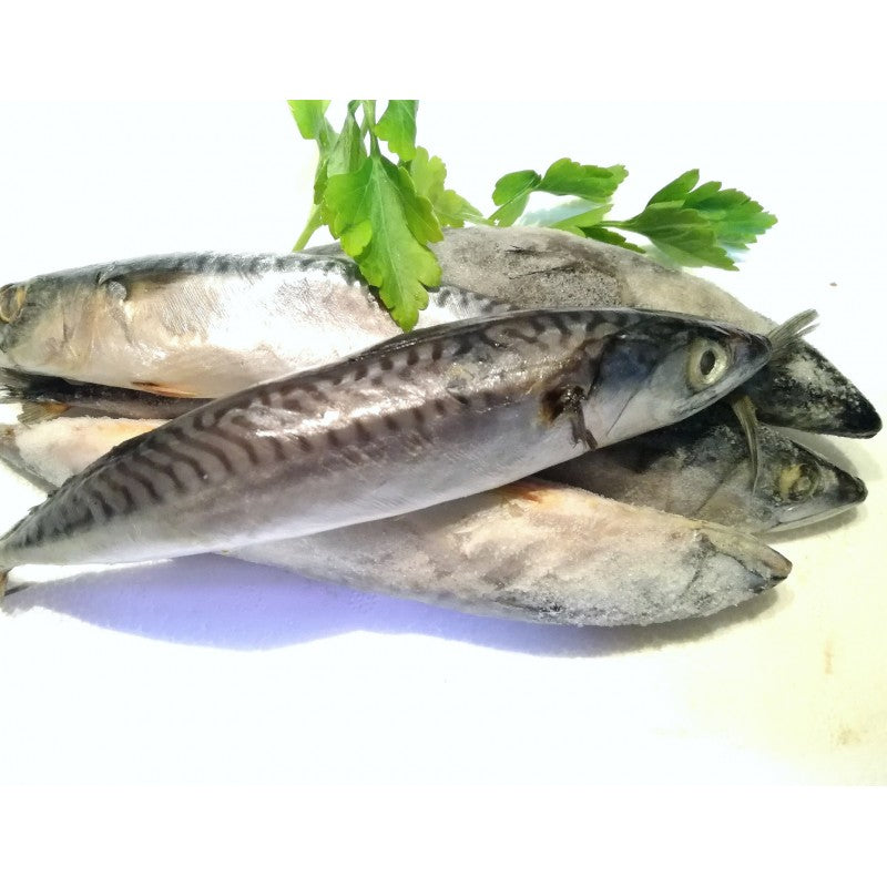 Bravery Dog Adult Mini Herring 2 kg