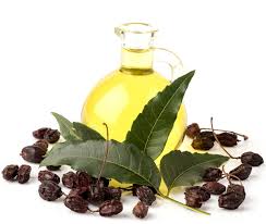 Shampoo Rituals Scudo con Olio di Neem 250 ml