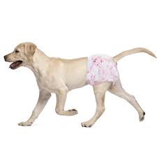 Fasce Assorbenti Inodorina per Cani Tg L - 12 Pz