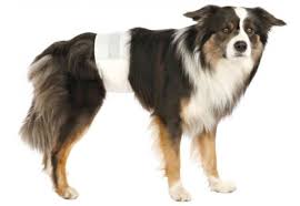 Fasce Assorbenti Inodorina per Cani Tg M - 12 Pz