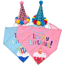 Leopet Kit Buon Compleanno per Cani 3 Pezzi