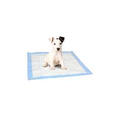 Tappetini Igienici Neutri per Cani Inodorina 60x60 10 Pz