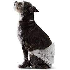 Pannolini Assorbenti Cani Inodorina - L 12 Pezzi