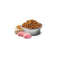 Bravery Dog Adult Mini Agnello 2 kg