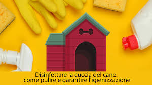Detergente Spray Multiuso per Tutte le Superfici Inodorina 500 ML