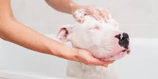 Salviette Detergenti Refresh Bio Delicato - 30 Pz