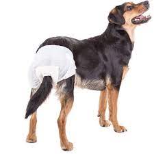 Pannolini Assorbenti Cani Inodorina - XL 12 Pezzi