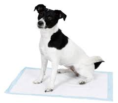Tappetini Igienici Fiori di Campo per Cani Inodorina 60x90 40 Pz