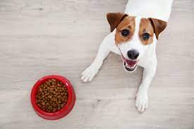 Bravery Dog Puppy Mini Salmone 2 kg