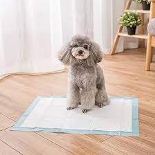 Tappetini Igienici Fiori di Campo per Cani Inodorina 60x60 40 Pz
