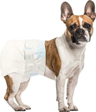 Pannolini Assorbenti Cani Inodorina - M 12 Pezzi