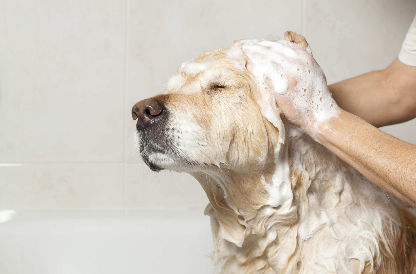 Shampoo Rivitalizzante con Estratto di Zenzero 300 ml