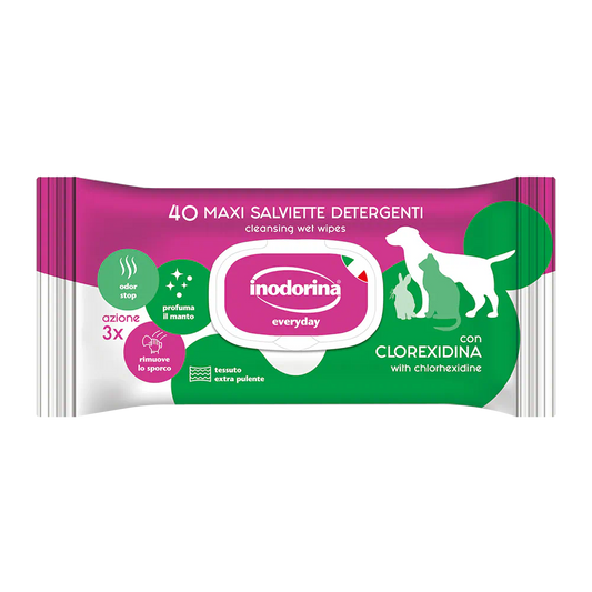 Salviette Detergenti Profumate Everyday alla Clorexidina - 40 Pz