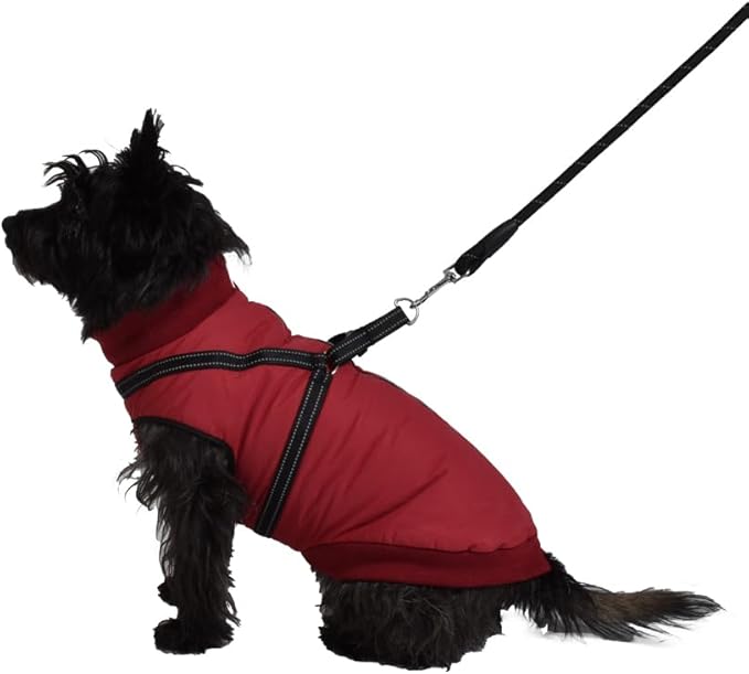 Cappotto con Imbracatura Incorporata Croci Tg 25 XS
