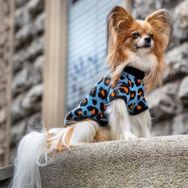 Maglioncino Cheetah Spot  Celeste Croci Tg 25 XS