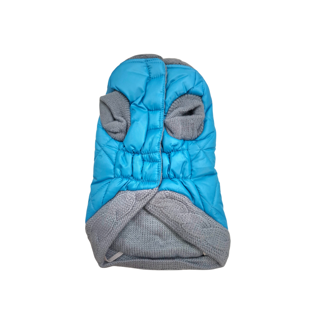 Giubbotto Imbottito Turchese per Cani Croci Tg 25