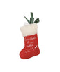 Croci Xmas Cat Sock – Calza Gioco di Natale per Gatti 15 cm
