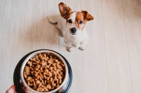 Exclusion Dog Puppy Mini Manzo 500 gr