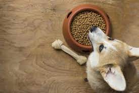 Bravery Dog Puppy Mini Pollo 7 kg