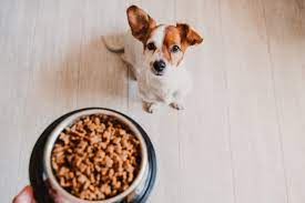 Bravery Dog Puppy Mini Pollo 2 kg
