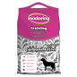 Tappetini Igienici Carboni Attivi per Cani Inodorina 60x60 40 Pz