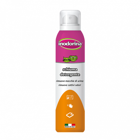 Schiuma Detergenteper tappeti e divani Inodorina 200 ml